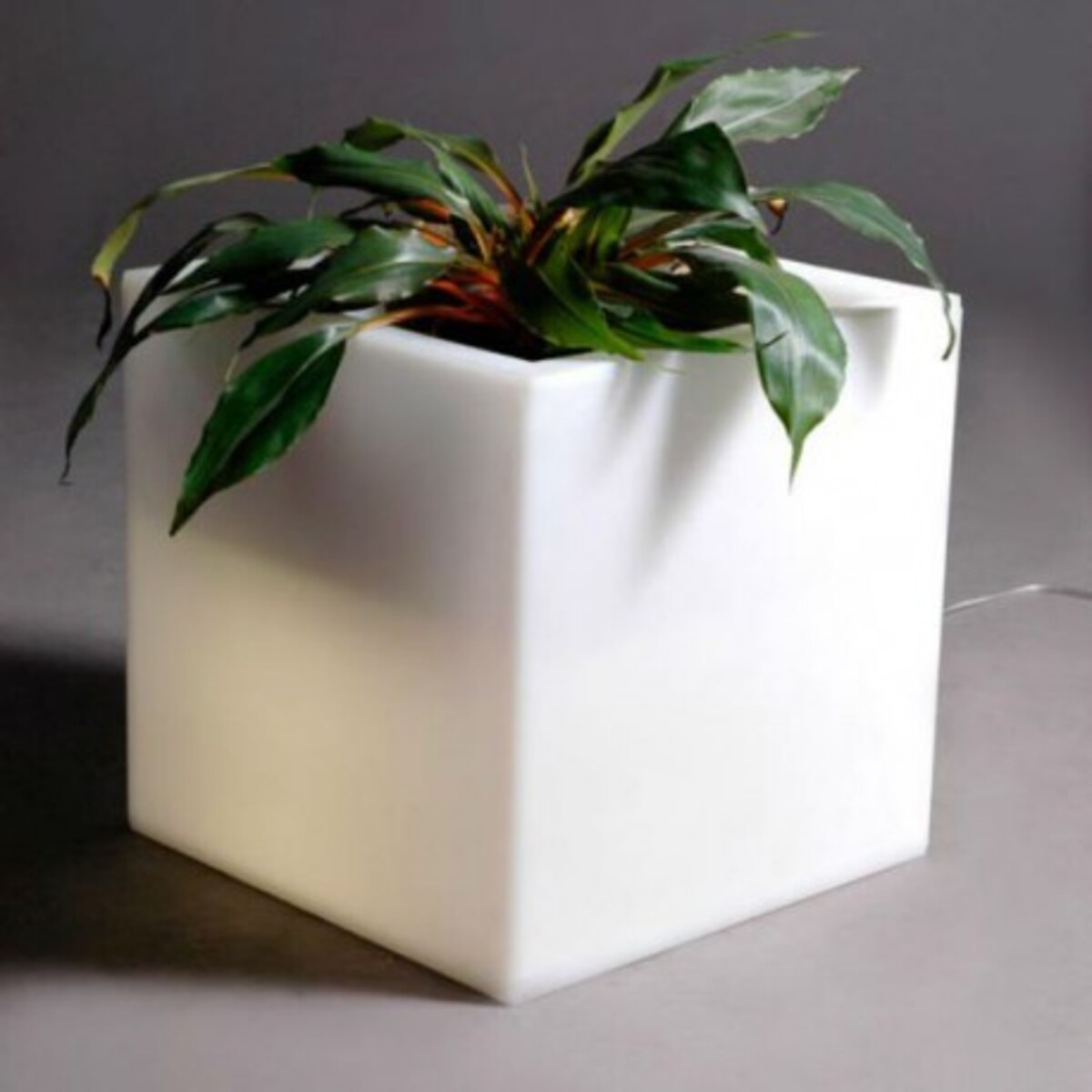 Pot de fleurs cubique lumineux Q-Pot Light