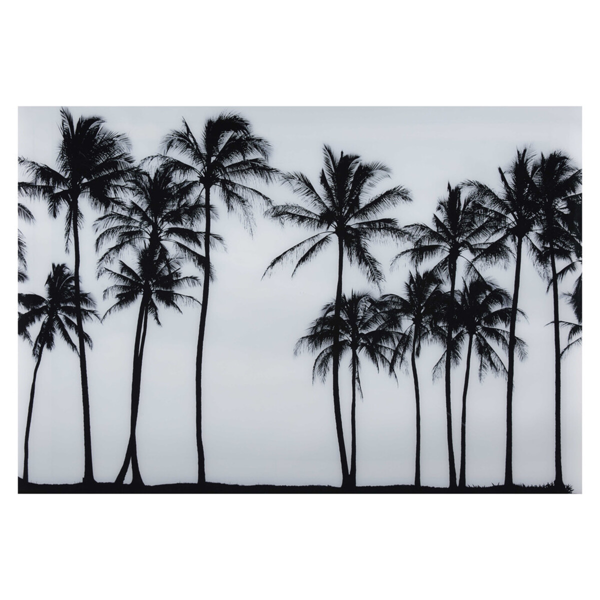 Tableau photo palmiers en Plexiglas® 160x110