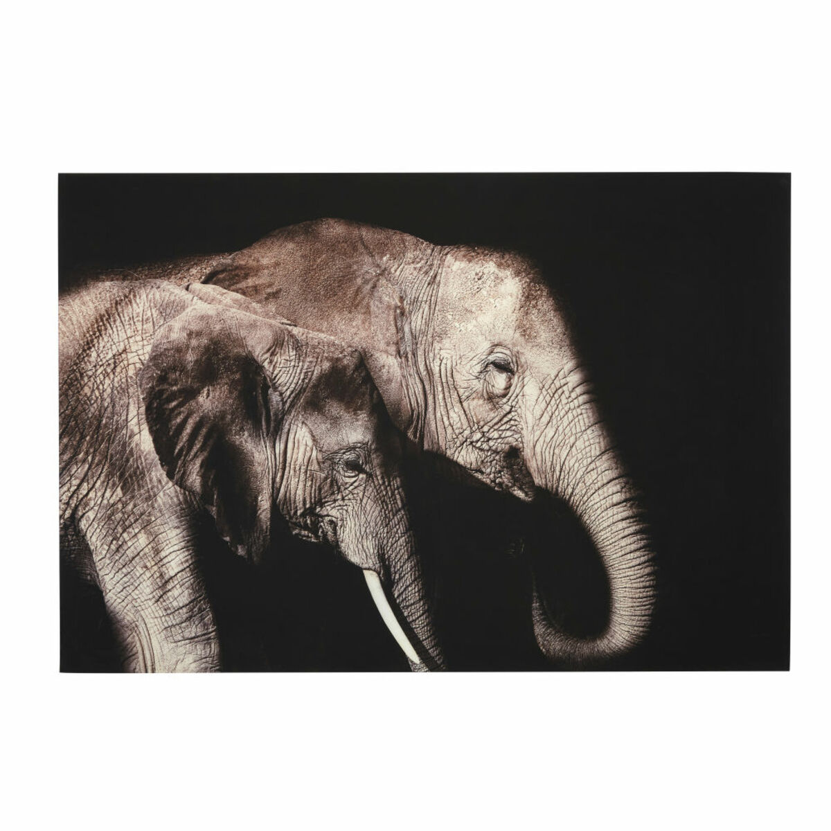 Tableau photo plexiglas imprimé éléphants 150x100