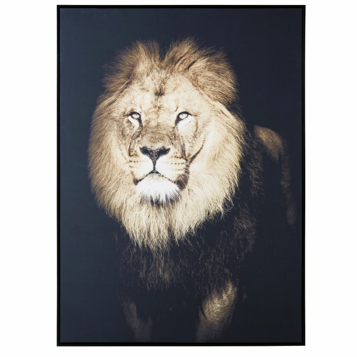 Toile imprimé lion 103x143